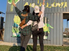 -洪湖湿地生态园