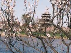 -上海海湾国家森林公园