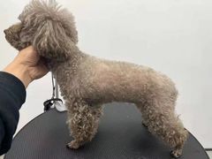 -comecome来吧宠物(奥克斯中心店)