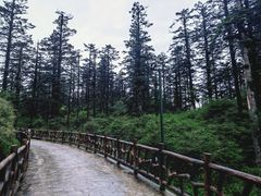 -瓦屋山景区