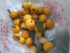 -塘栖枇杷特色园区