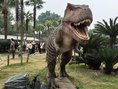 -自贡恐龙博物馆