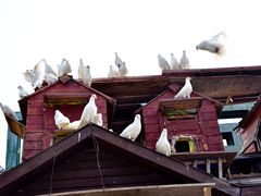 -永定河休闲森林公园