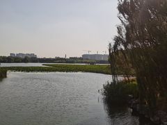 -大兴滨河森林公园