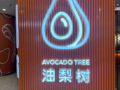 -油梨树 AVOCADO TREE(亮马桥店)