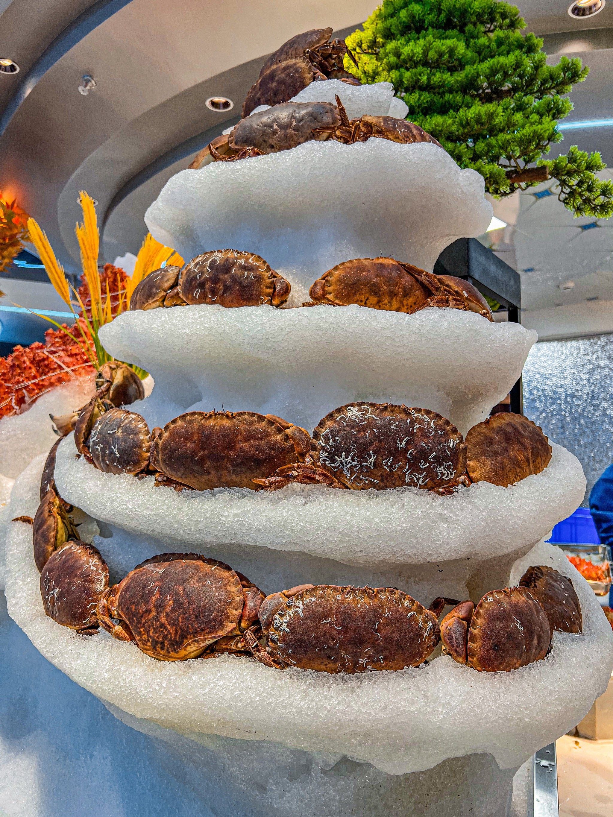 面包蟹为什么这么多蟹黄百科在线 面包蟹为什么这么多蟹黄百科在线