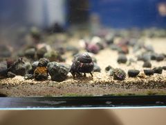 -鹿儿岛水族馆