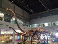 -自贡恐龙博物馆