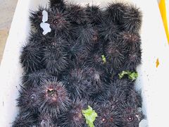 -抹直口特色菜馆(一店)