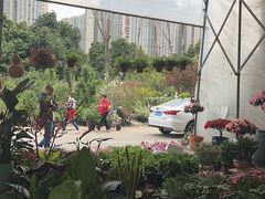 -三圣花乡旅游区