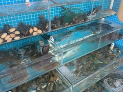-北戴河庆山饭店·海鲜砂锅粥(北戴河黑石路店)