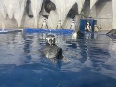 -太平洋海底世界