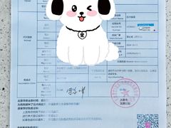 -美迦爱-牙专科·兔科·骨科诊疗中心(北苑店)