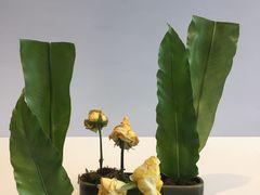 -广州市第二少年宫