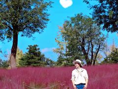 -汉长安城未央宫国家考古遗址公园