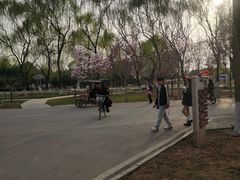 -石家庄市植物园