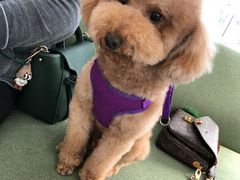 -北京恒爱动物医院(清景园分院)