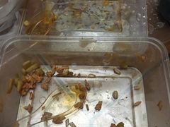 -翻滚吧!蛋炒饭·天津炒饭哥