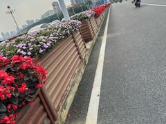 -南宁南湖公园