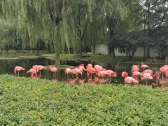 -石家庄市动物园