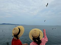 -悦海公园
