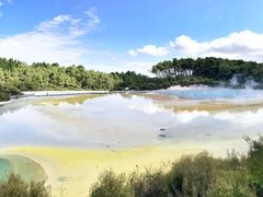 -怀托摩萤火虫洞