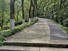 -宁波市保国寺古建筑博物馆