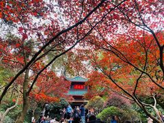 -岳麓山风景名胜区