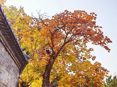 -浮来山风景区