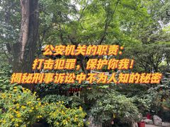 -华勤基信·至法律师团队