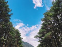 -石棉县孟获城