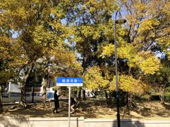 -八大关景区