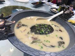 洪湖野生甲鱼-半岛公馆(淞兴西路店)