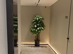 -W·24H茶楼·棋牌·掼蛋(望京店)