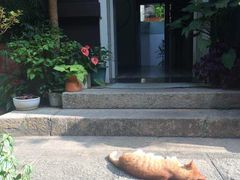 -厦门良筑精品酒店(厦门中山路店)