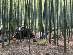 -众神白水涧景区