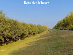 -渭河城市绿地运动公园