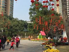 -晓港公园