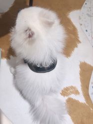 -MZ SKIN CARE逆齢驻颜中心