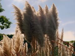 -嘉北郊野公园