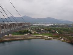 -安徽大青山野生动物世界