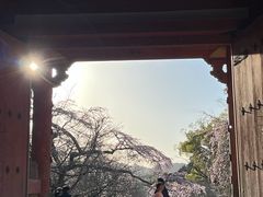 -醍醐寺