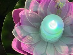 -印象普陀