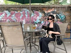 -柴犬高等学院·狗咖·柴犬售卖·宠物训练