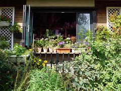 -国家植物园南园