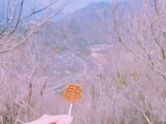 -居庸关长城