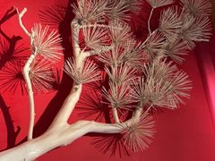 -黑牛の店·和牛烧肉(石家庄万象城店)