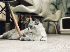 -小时光咖啡馆(北锣鼓巷店)