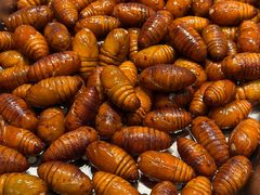 -健眺小海鲜(临海后山店)