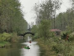 -合肥滨湖国家森林公园